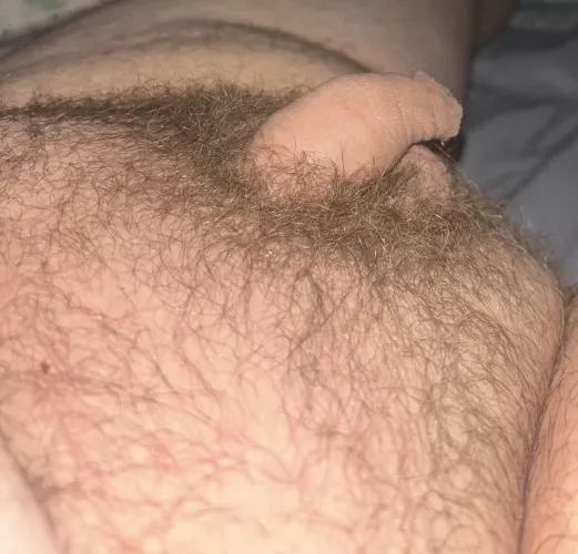 (18) am I too small dms open