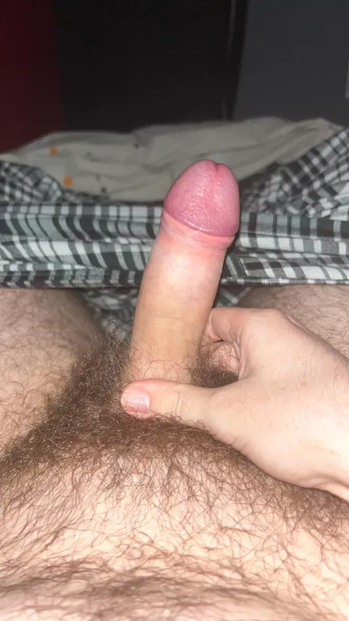[19] uk hairy slight chub verse looking for some fun 😏 kik: asbo_8282
