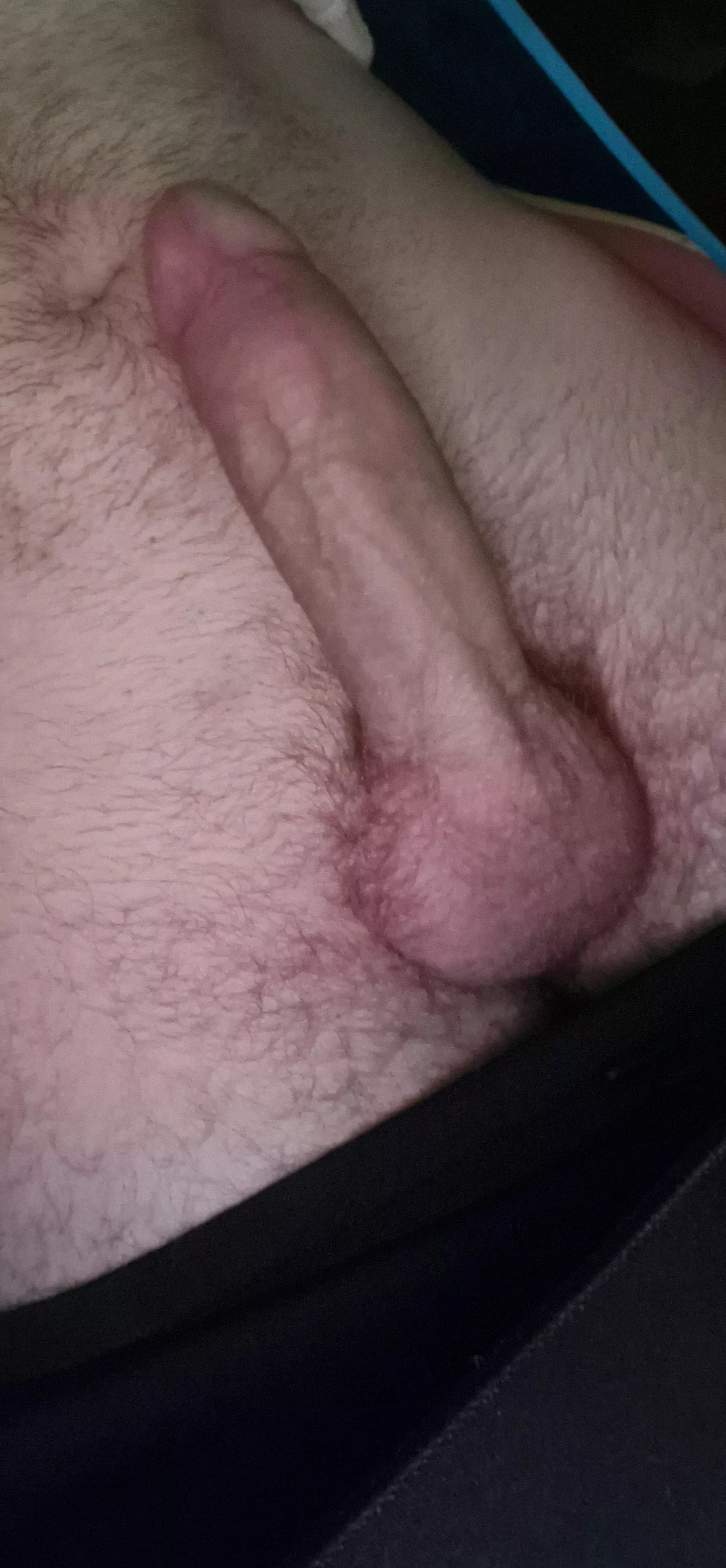 20M bored n horny