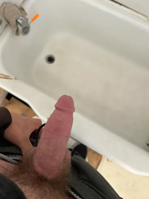 20m trying to lose my virginity cullman Alabama