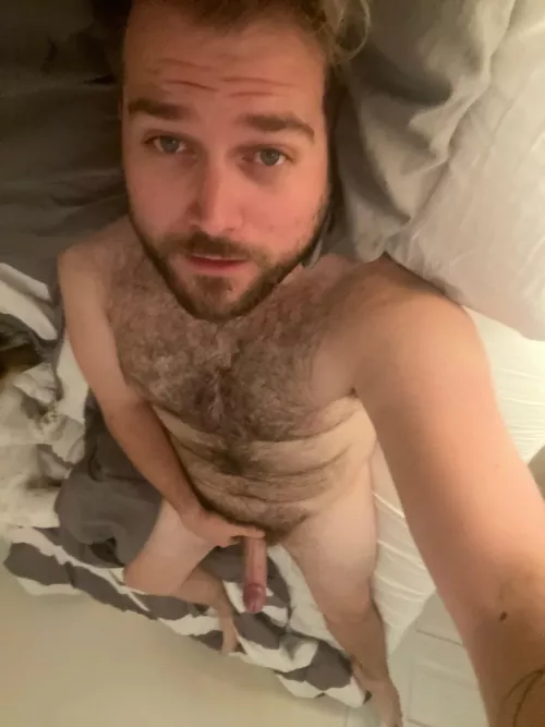 32 horny as fuck. Verbal and show face. Add Zhogeramus 