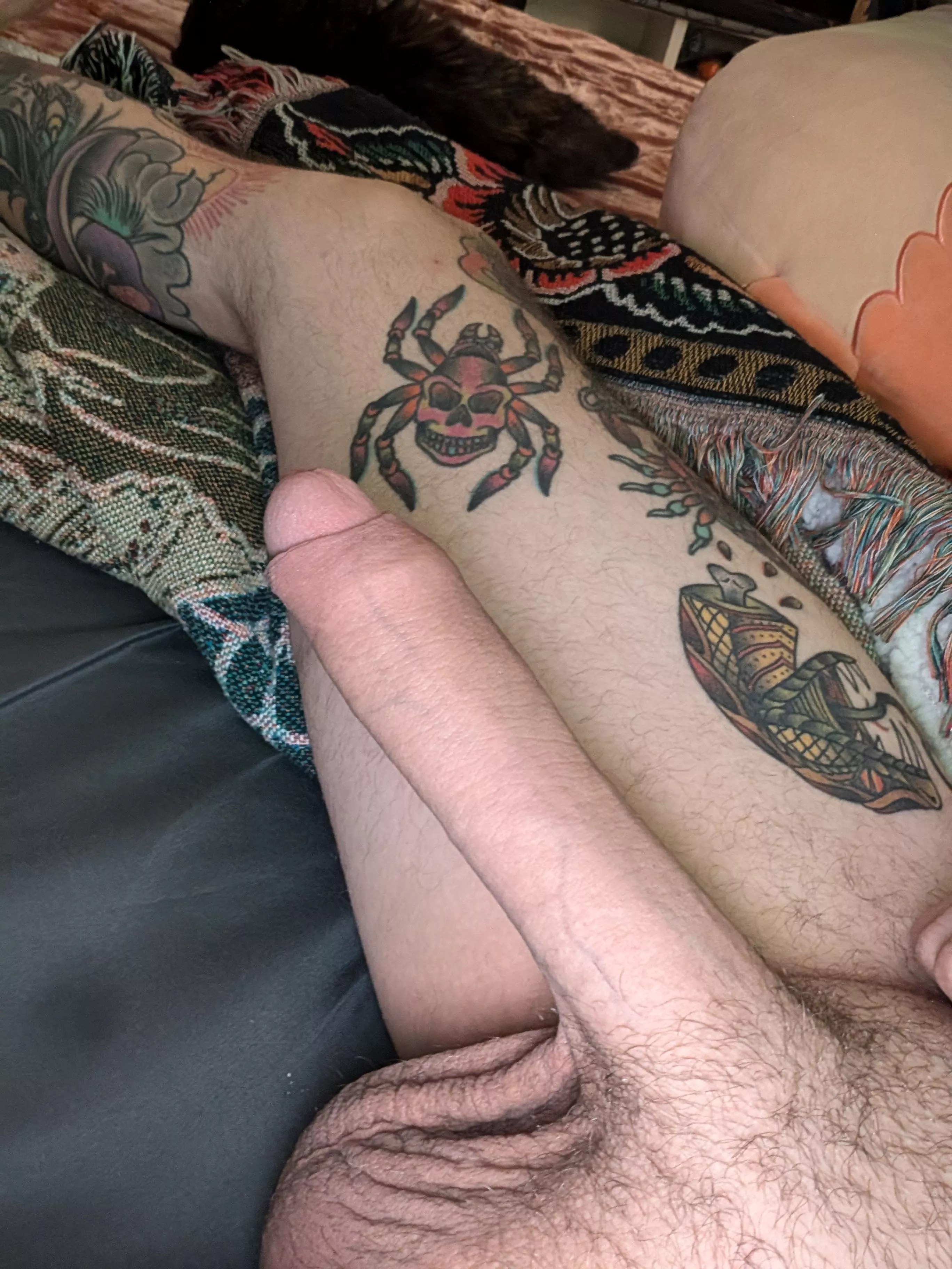 37m4f Cary 🐸 👑