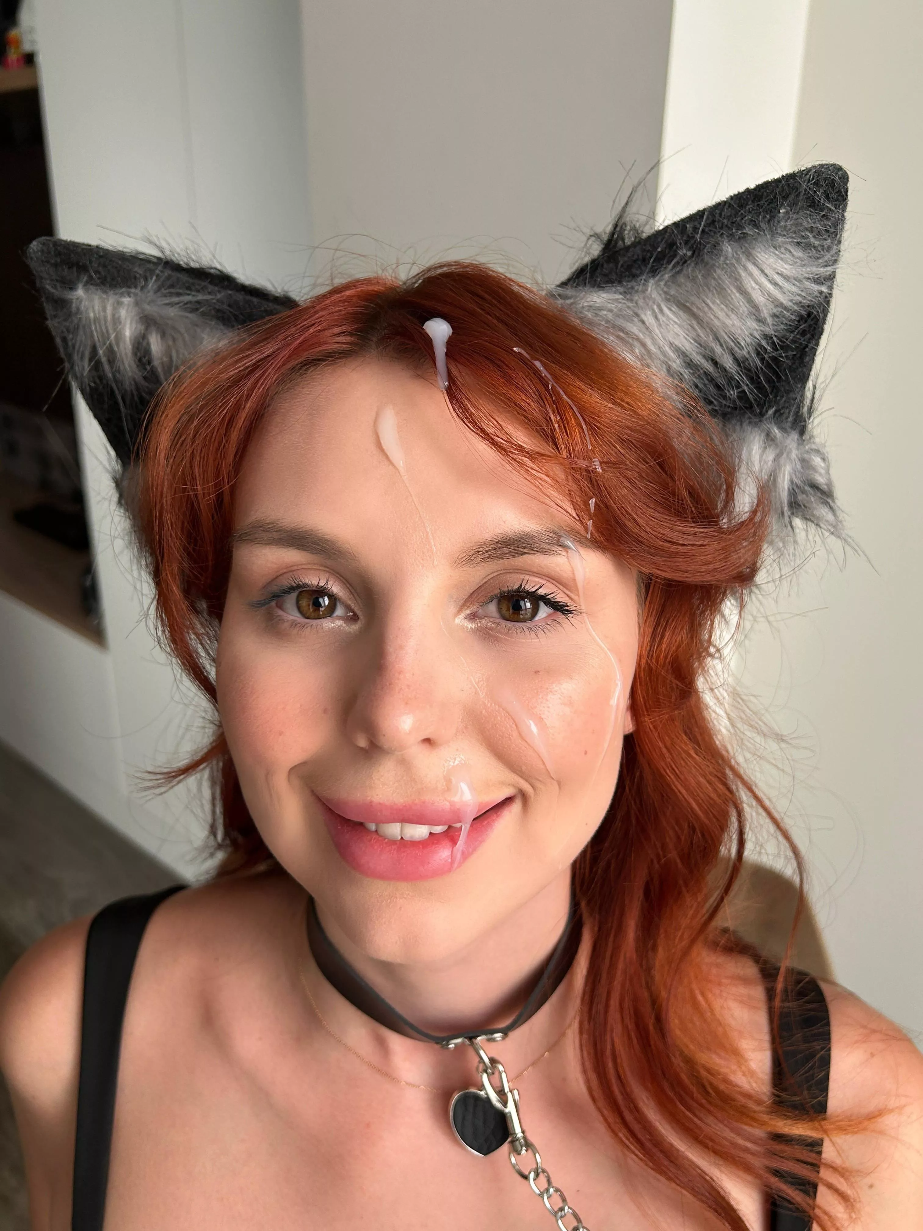 a feral cat with a pretty face