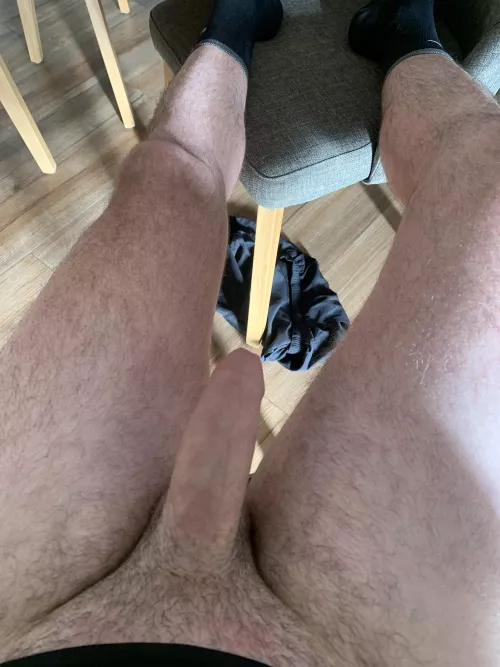 Afternoon procrastination 