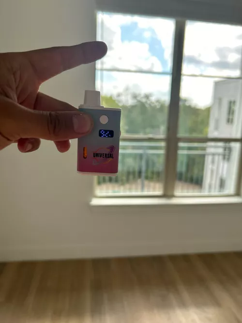 Am I cooked chat ? Are universals real?