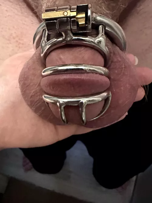 Any love for a locked cock?!