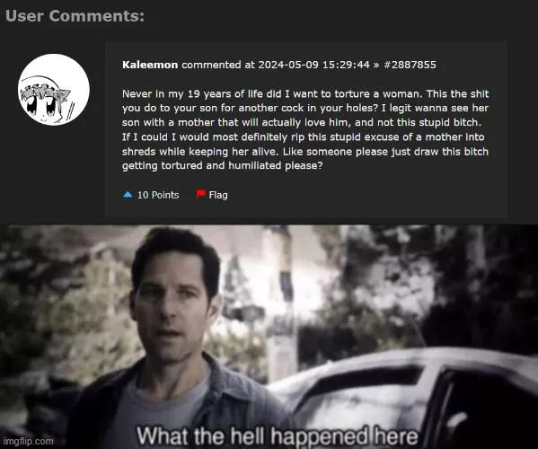 Bro discovered that Mom NTR exists [Image Board Comment]