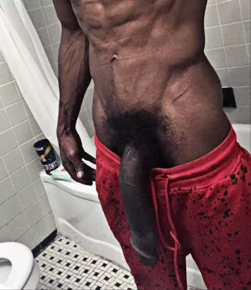 Cock capable of giving brain aneurisms 