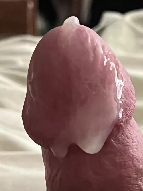 Cum covered head