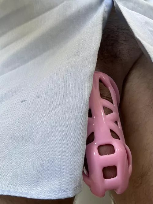 Day 28… of to work we go