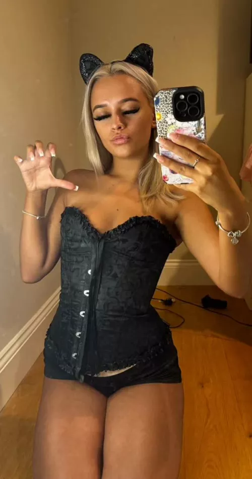 do i change your mind on cats ..?🐱