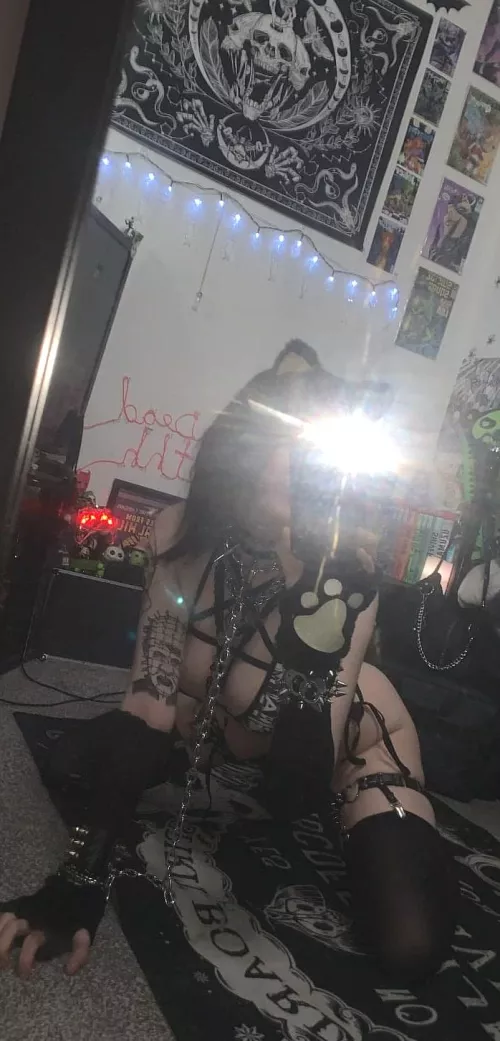 Do you like my curves or my tattoos more?