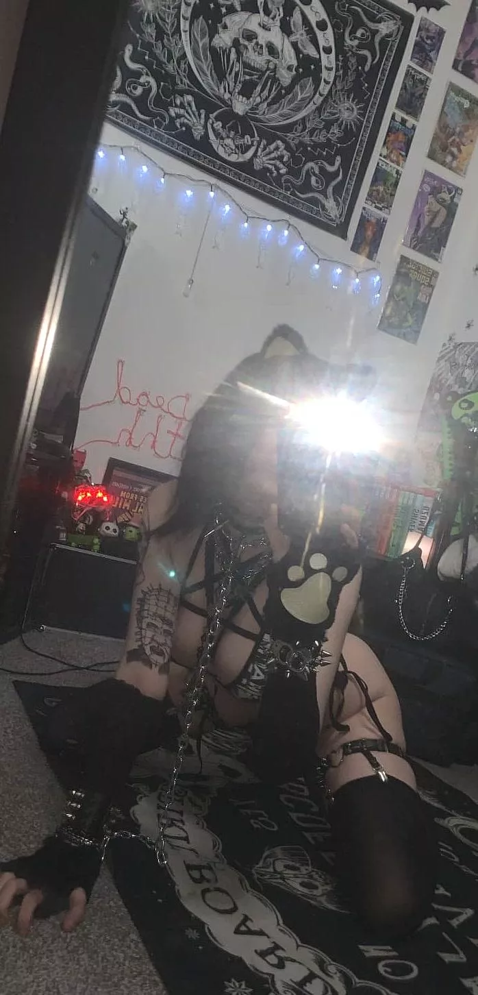 Do you like my curves or my tattoos more?