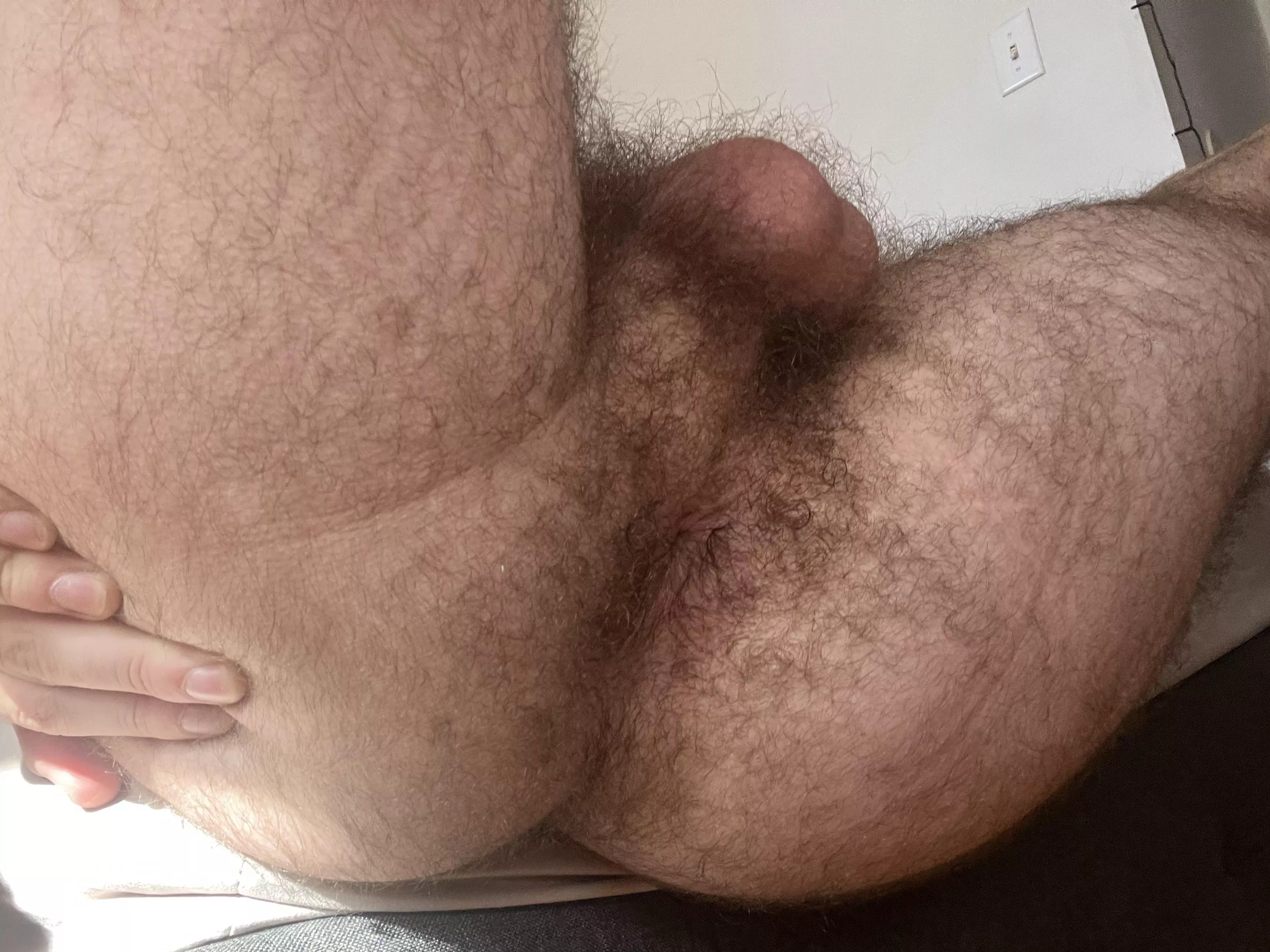 Does my hairy taint look lickable?