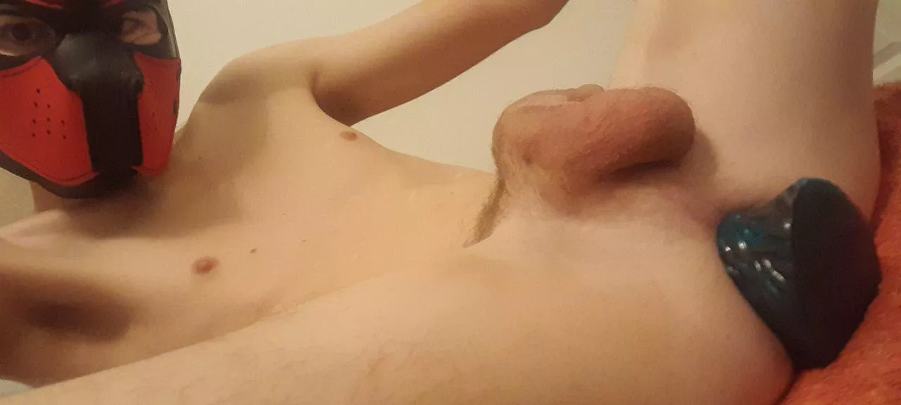 Does this good boi deserve a tug ?