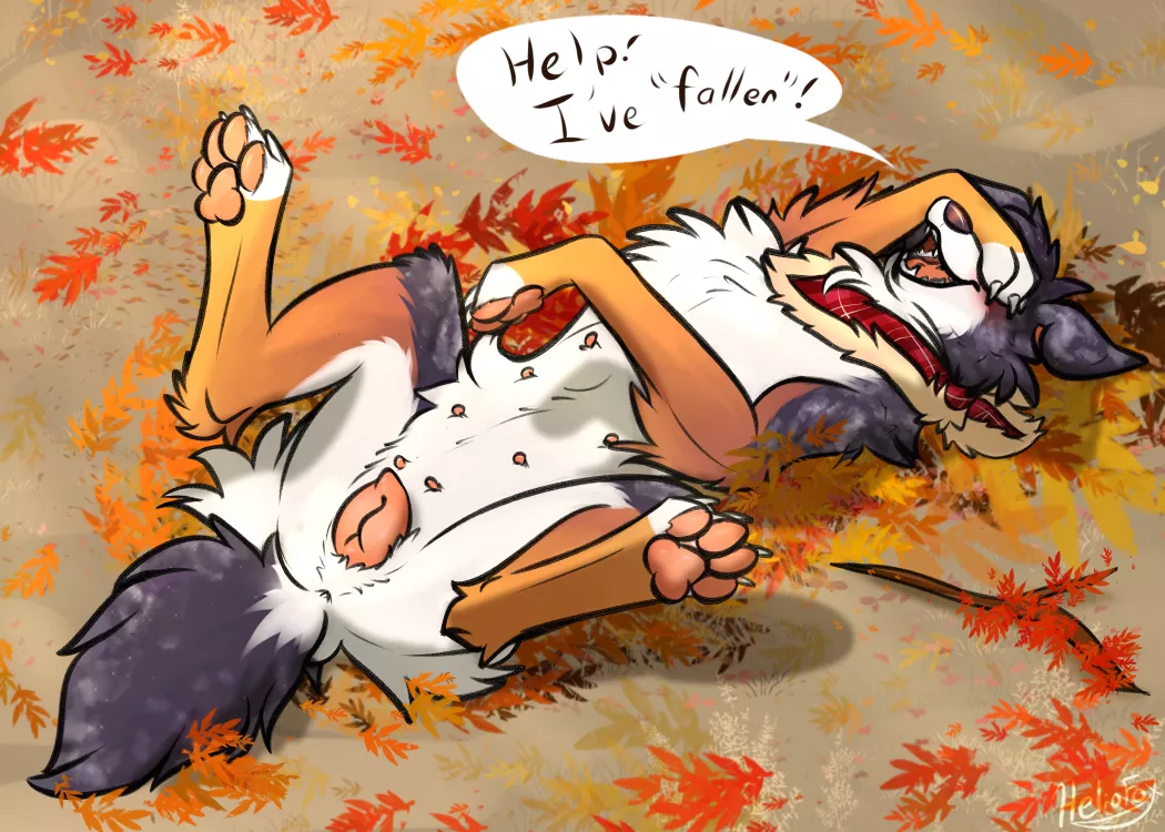 Fallen (heliofox) [F]