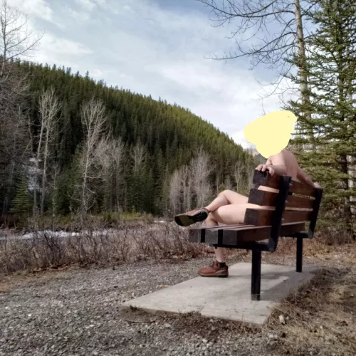 Freedom during COVID