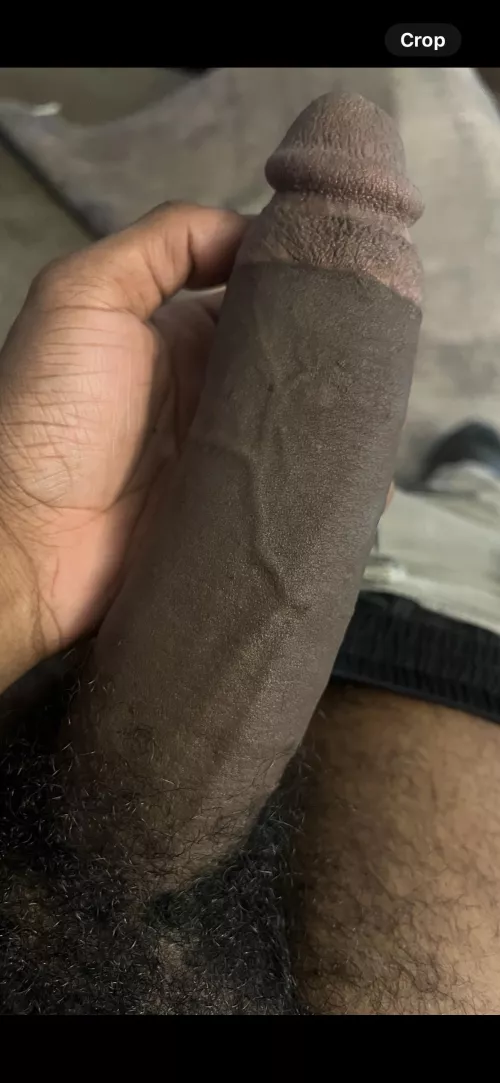 Gastonia/Belmont 39M looking for Bi couple to play with please have a female acquaintance lol 