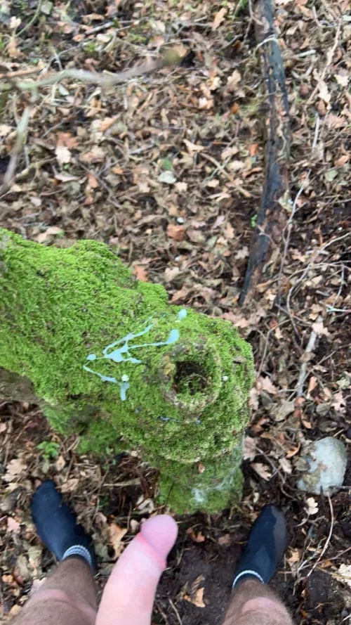 Got bored outside think I should do it but in school this time? (18)