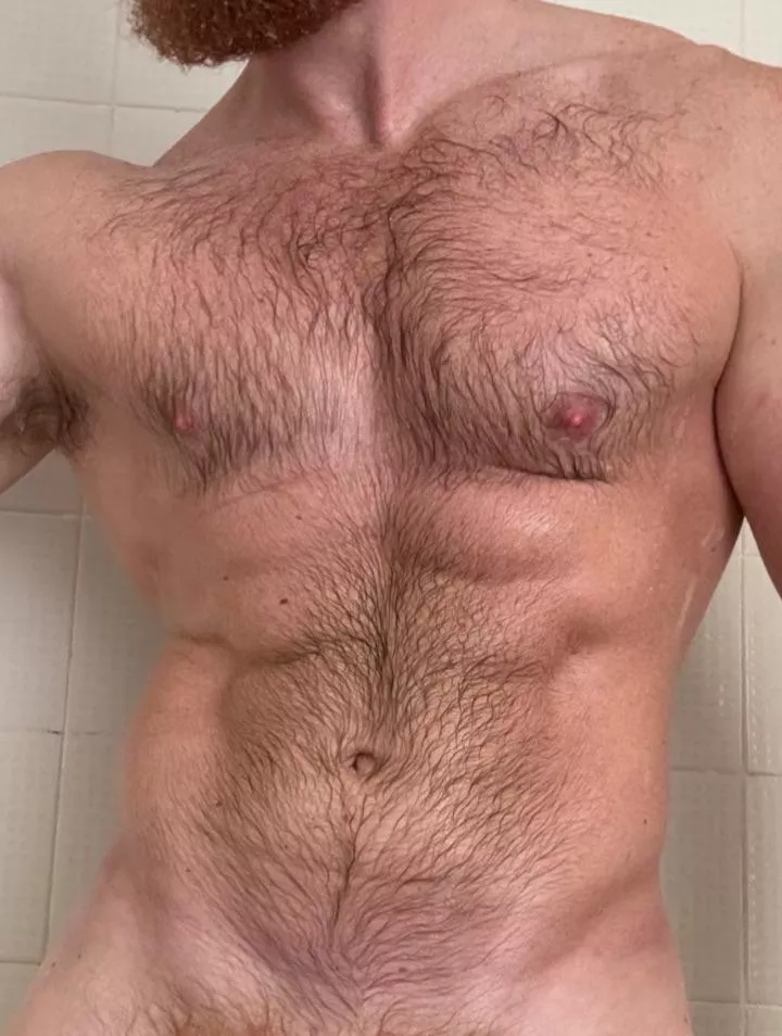 Hairy daddy midriff 