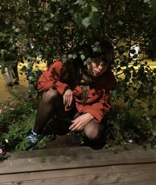 Hiding in the bushes