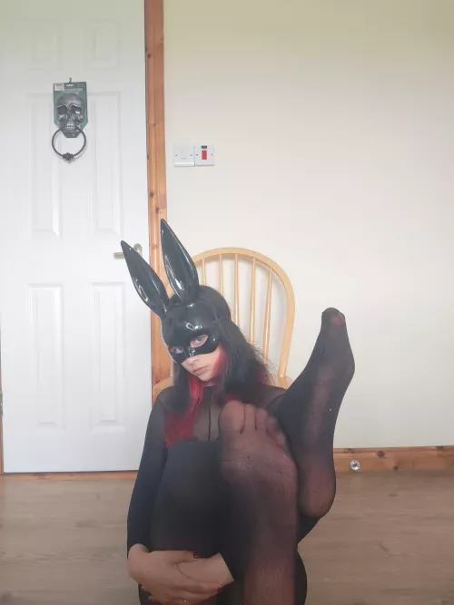 Hopping is what my pink nylon  paws do best 