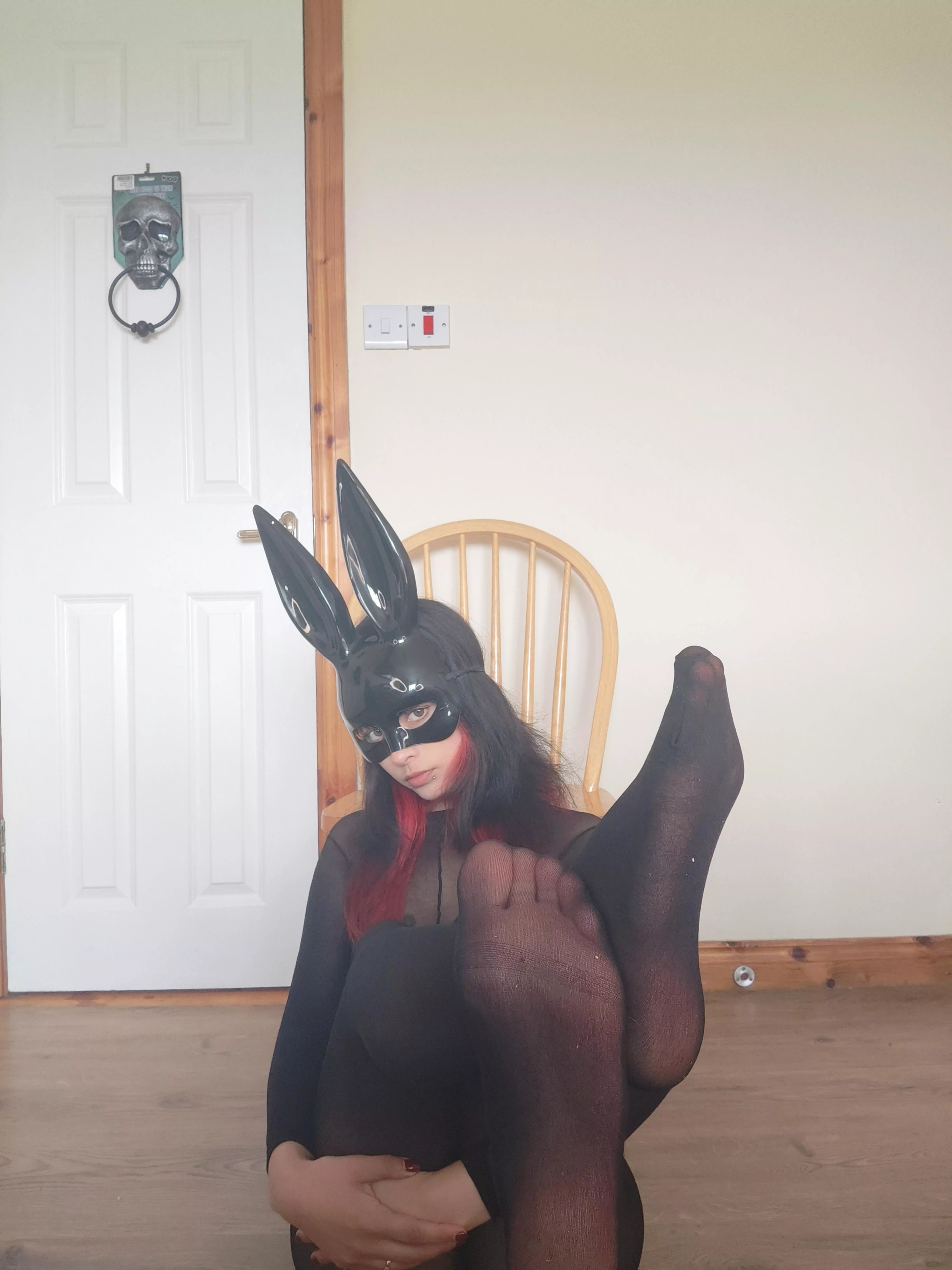 Hopping is what my pink nylon  paws do best 