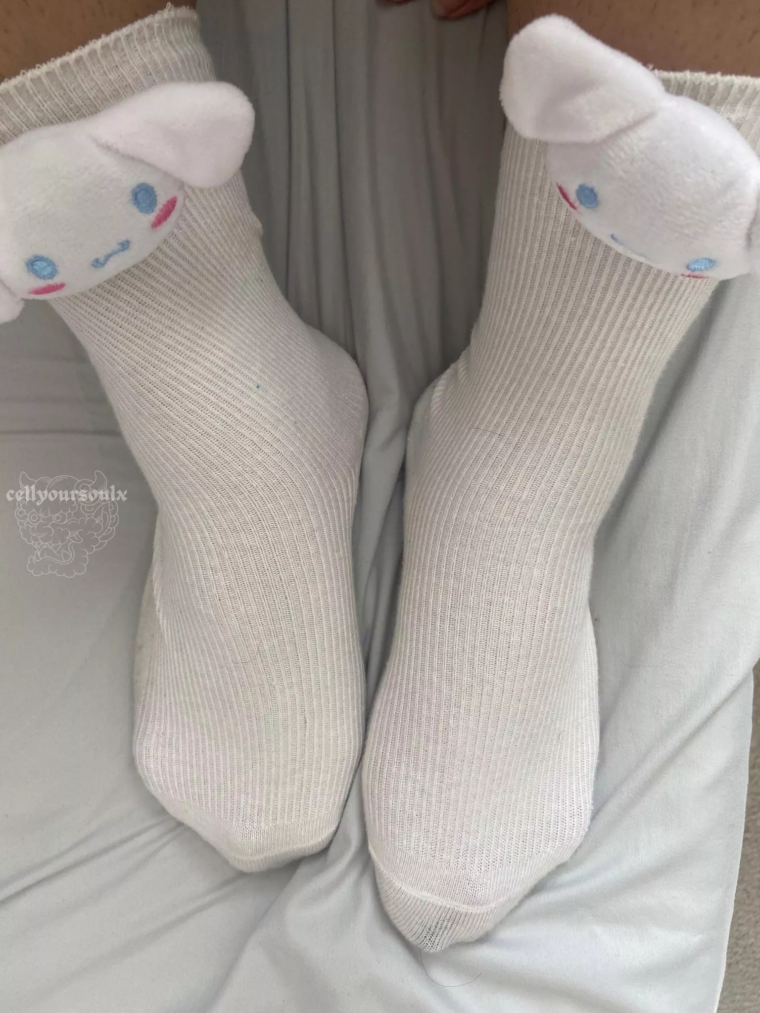 i know you’re sniffing my cute white socks through your screen, freak