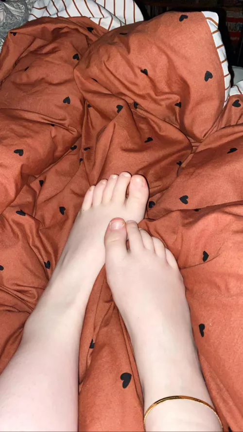 I need my pale toes sucked
