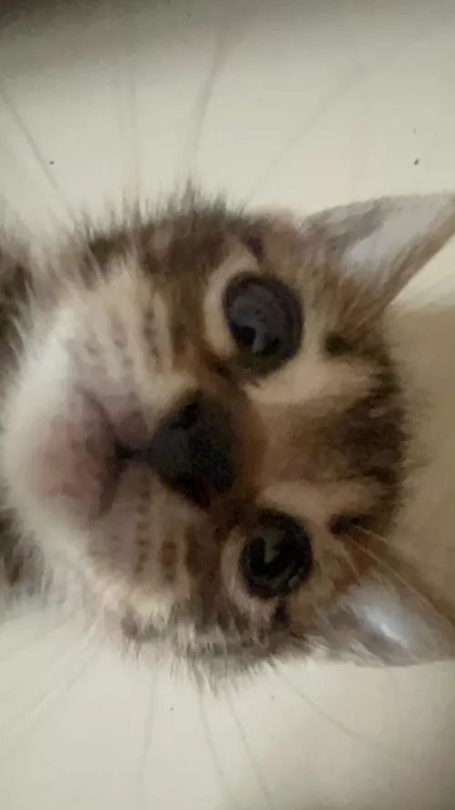 I think I broke myself