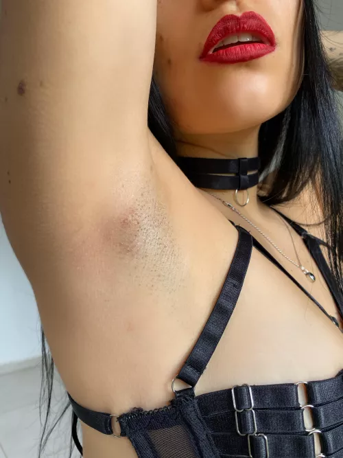 If I ordered you to suck me, would you do it? 