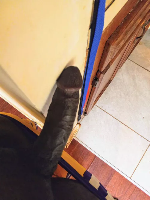 I'm not pulling out...😈