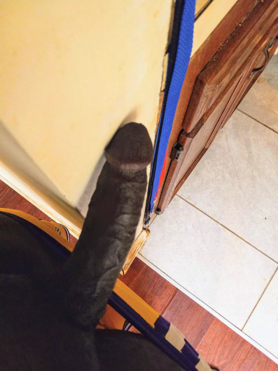 I'm not pulling out...😈