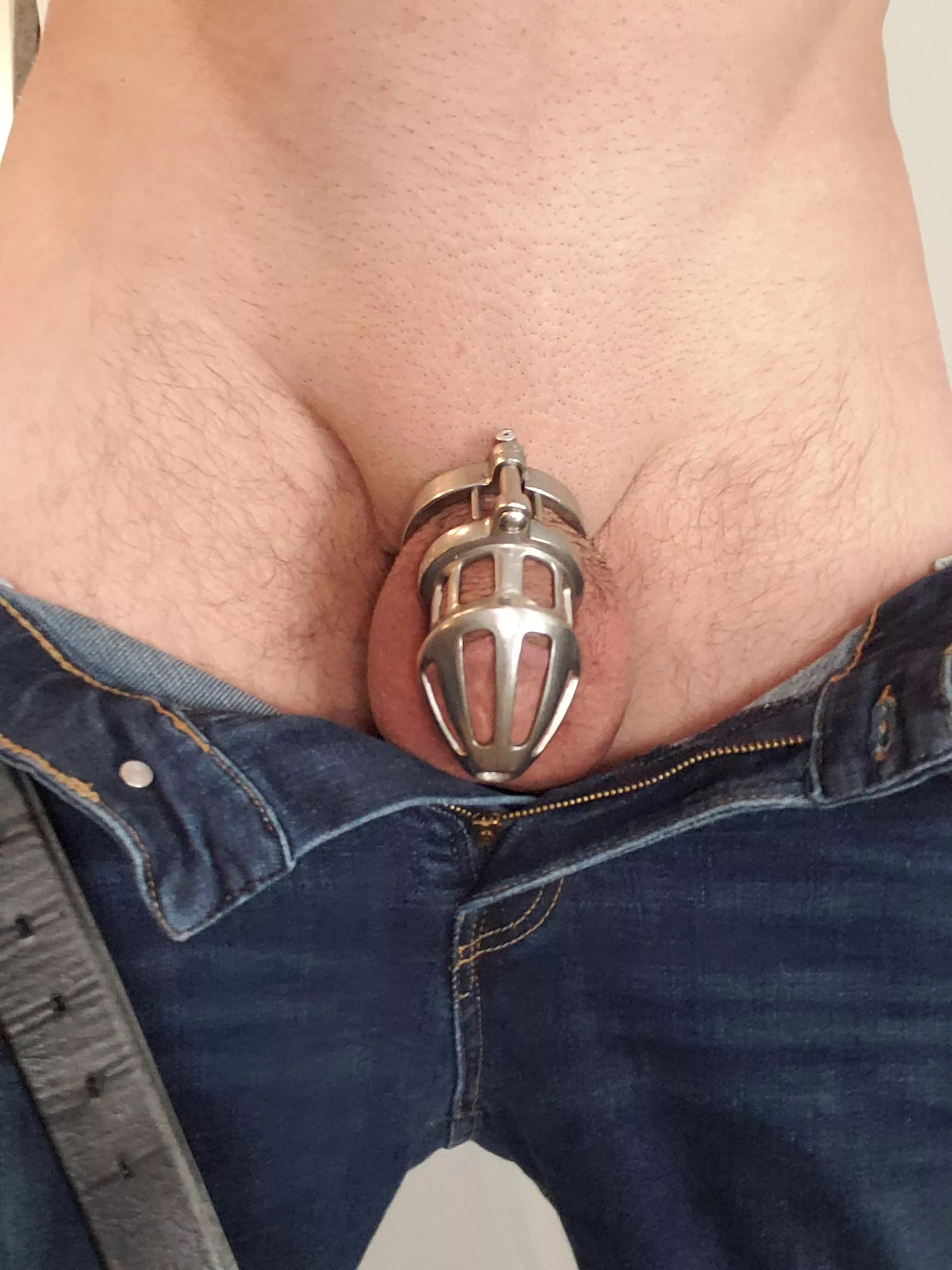 In my cage today, its quite riveted 