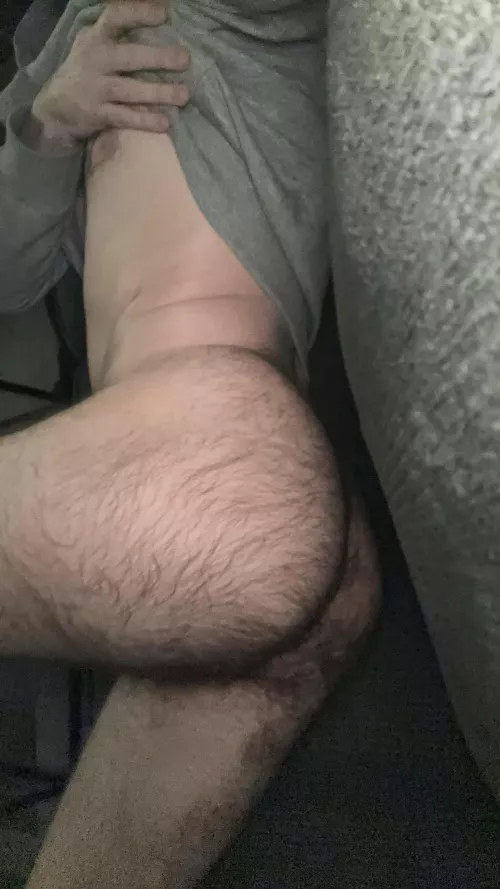 Lazy day off. Any takers for this hairy ass?
