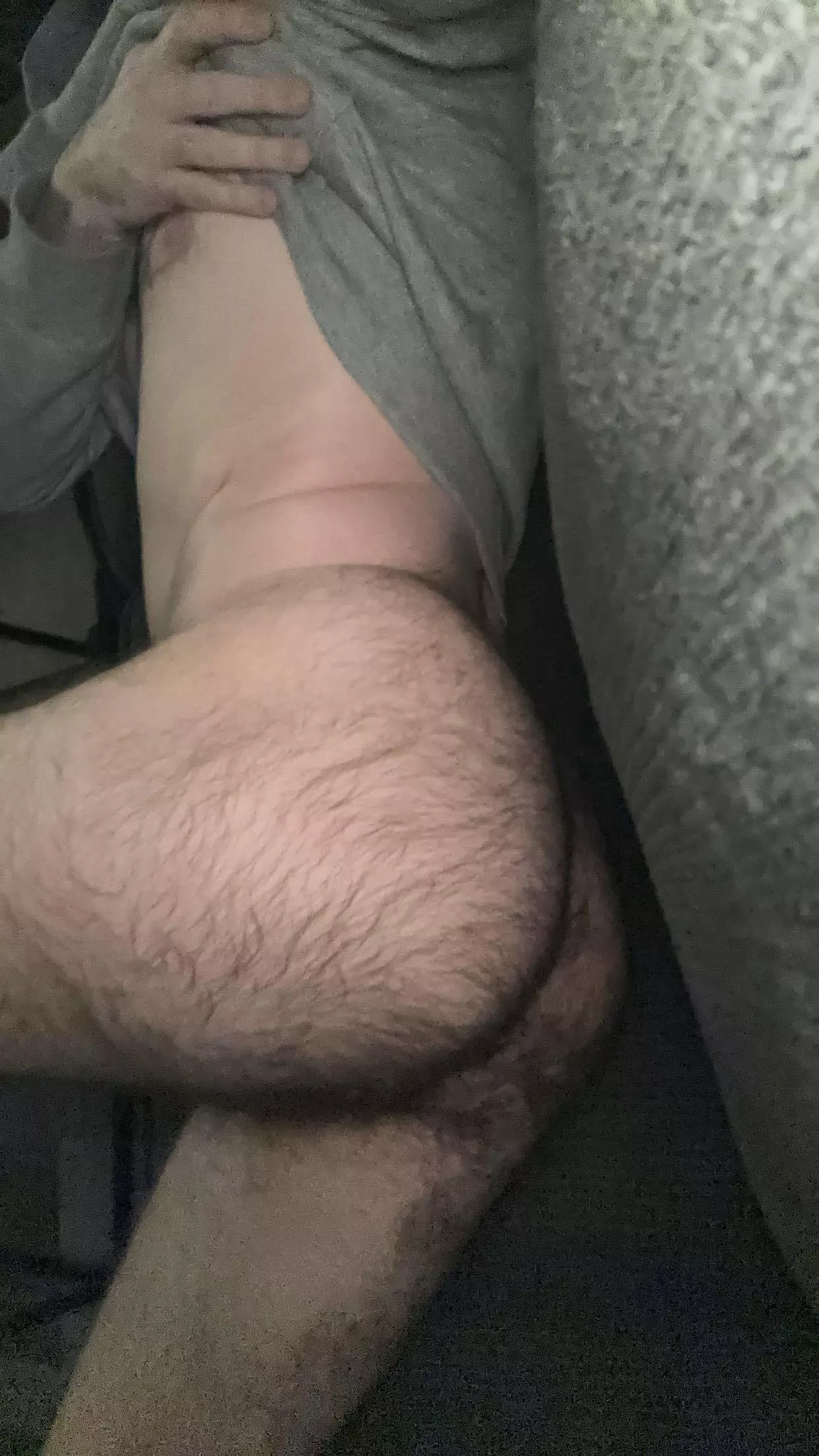 Lazy day off. Any takers for this hairy ass?