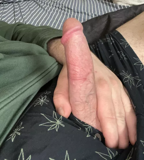 Looking for fun in Adairsville