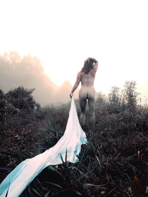 Love a foggy morning