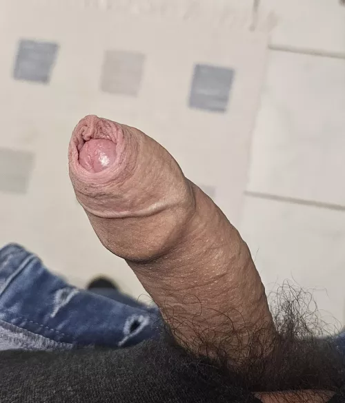 M24 4F can host and reward 