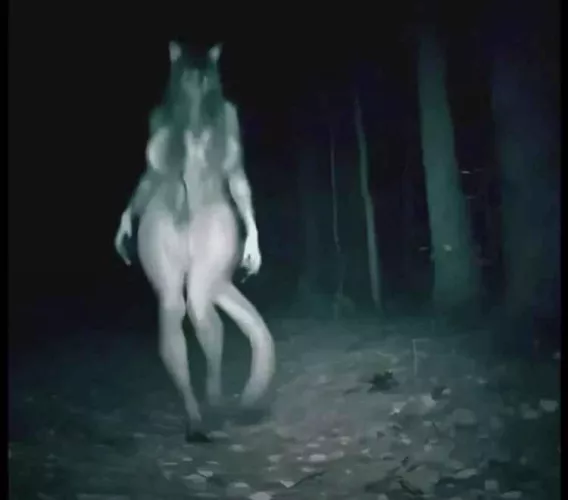 [M4F/FB] looking for a monster who comes across my human character while he was exploring outside the forest when he comes across a yandere monster that wants to take him all for themself. 