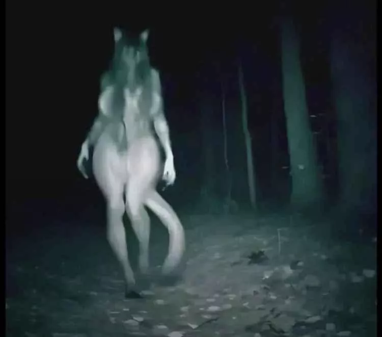 [M4F/FB] looking for a monster who comes across my human character while he was exploring outside the forest when he comes across a yandere monster that wants to take him all for themself. 