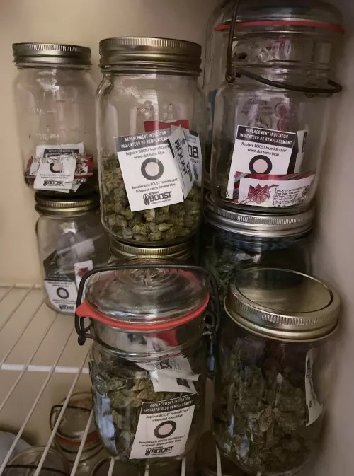 My humble collection 