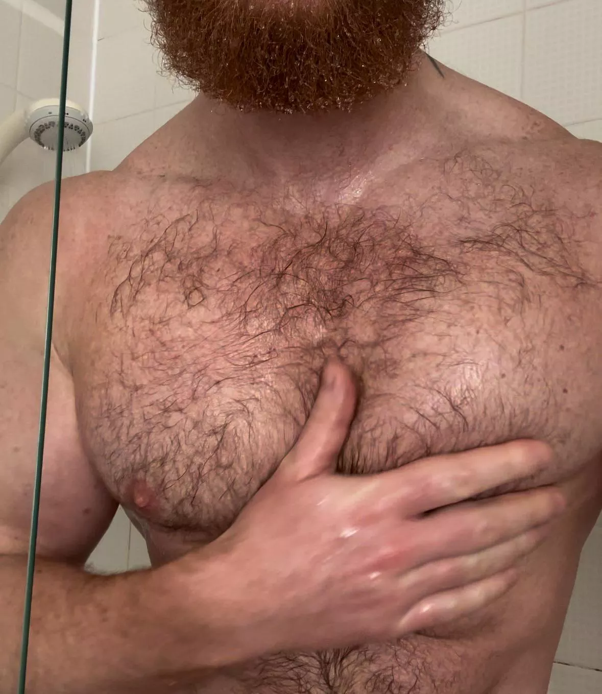  my nipples might be too hairy for you. 