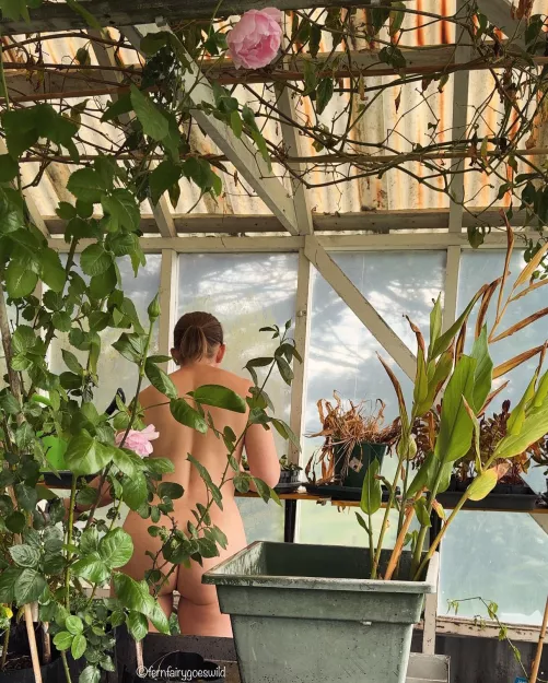Naked in the greenhouse 