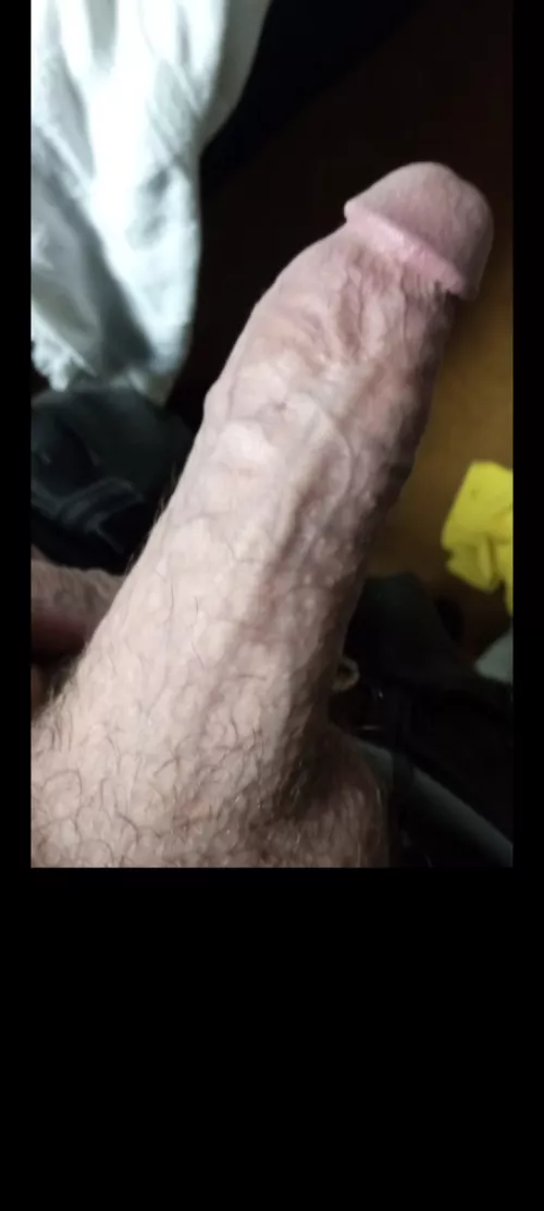 Need cock sucked this morning 