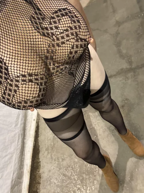 Needing a breeding !!