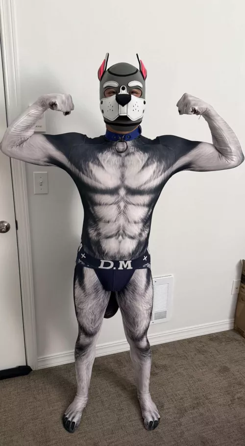 New hood and petsuit!