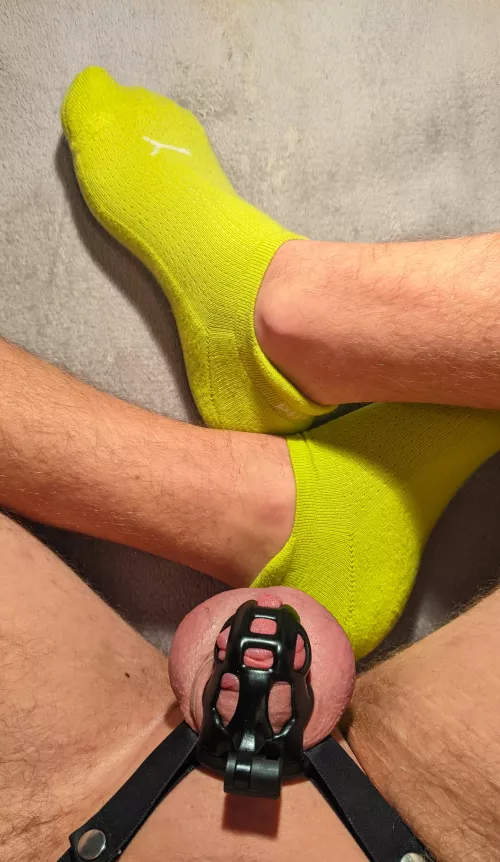 Only 3 days left until the end of locktober! I´m so fucking horny and my balls feel extremely full! Can´t wait to unlock my cock and spurt a huge load onto my cute ankle socks 😍