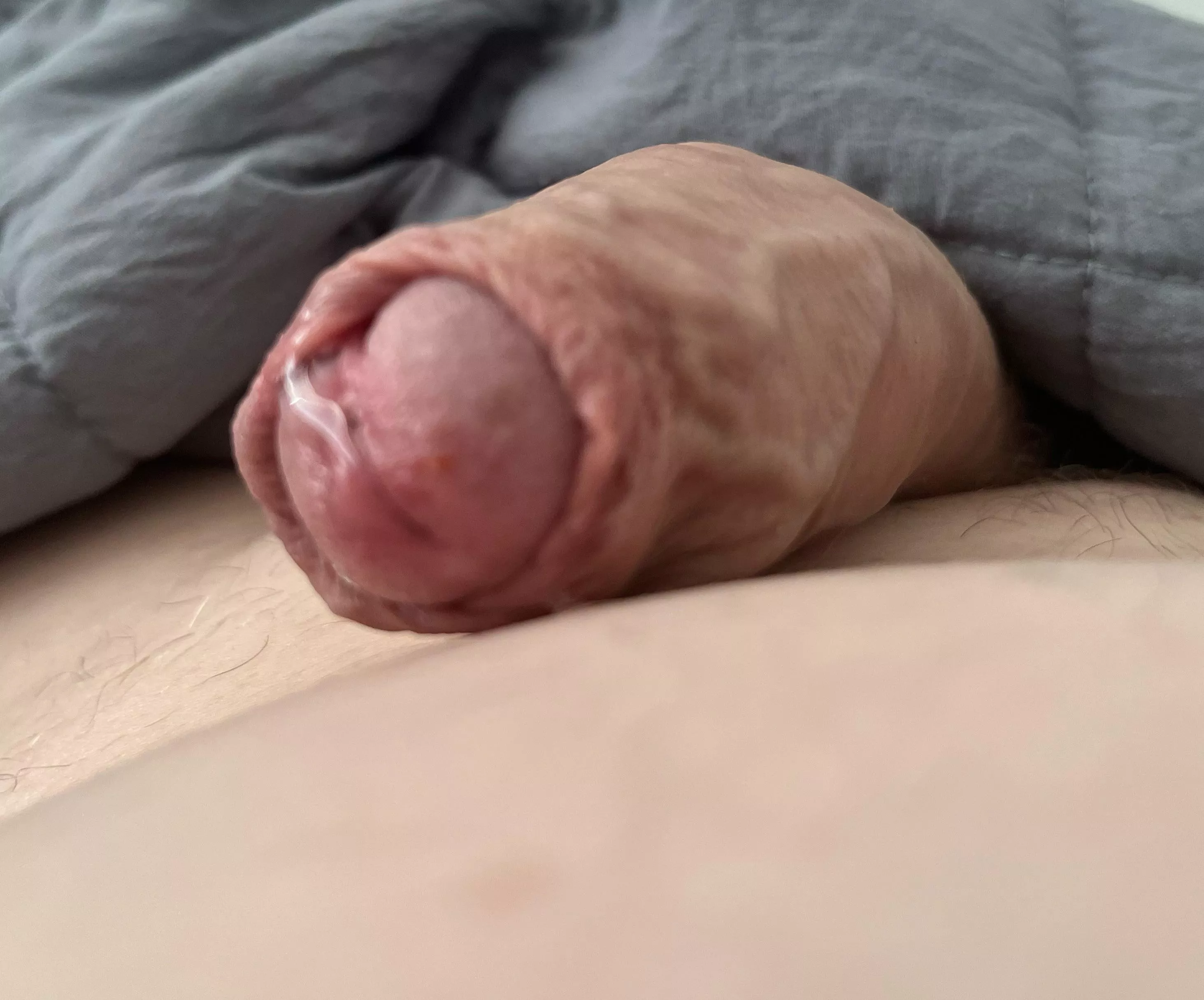 Precum after morning wood