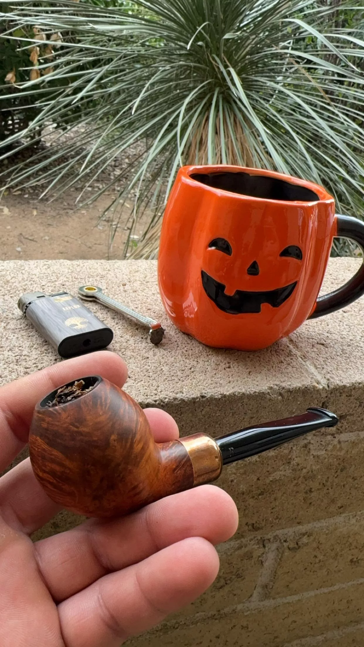 Proper English with a cup of pumpkin spice.. 🎃 